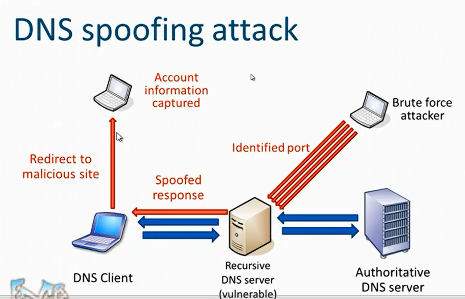 Windows DNS Server’ın socket pool (UDP kaynak port havuzu) davranışı