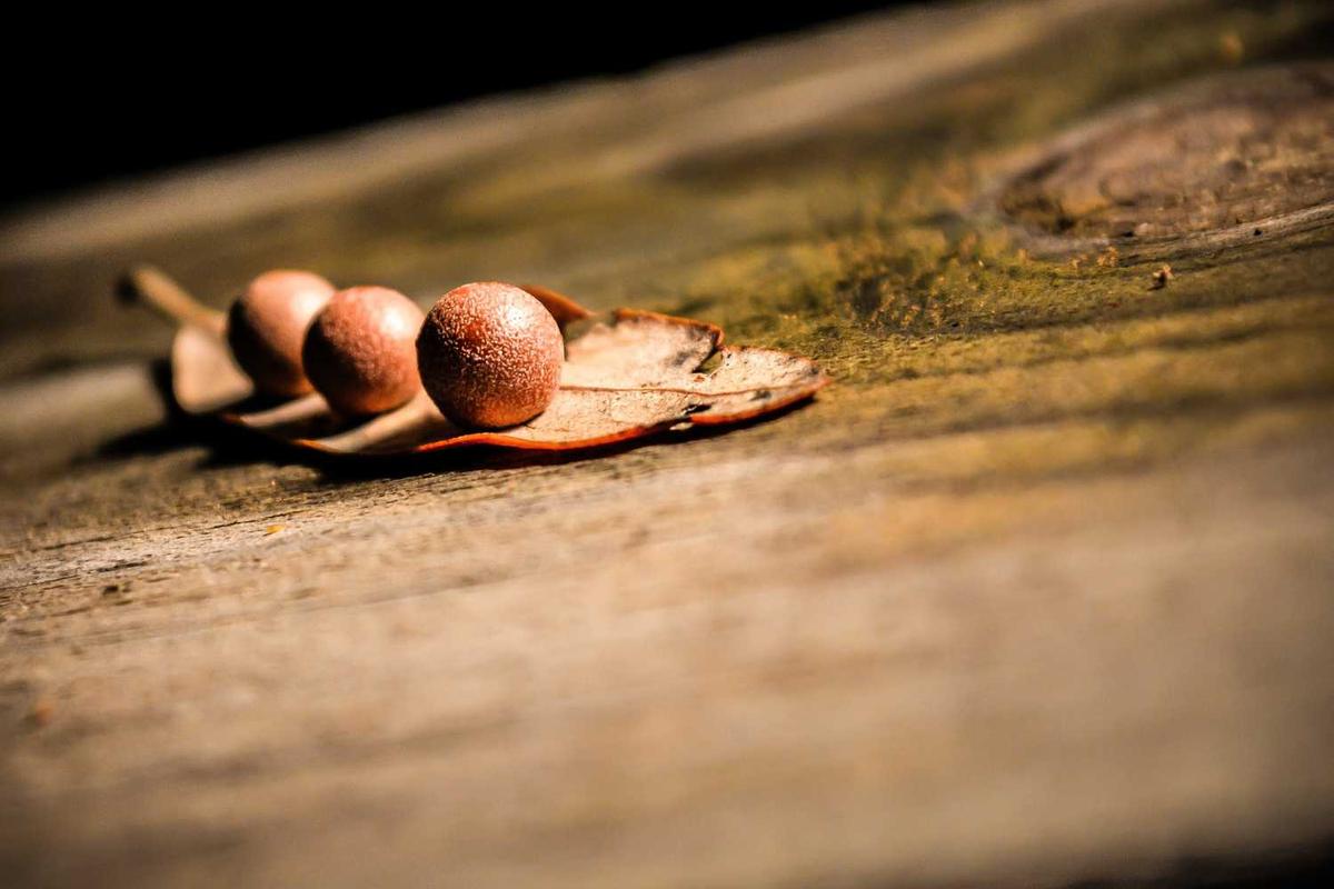  Windows Artık Entra ID Grup ve Rol SID'lerini Gerçek İsimlere Çeviriyor!